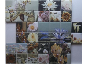 DEC.PRIMAVERA 18X55,5